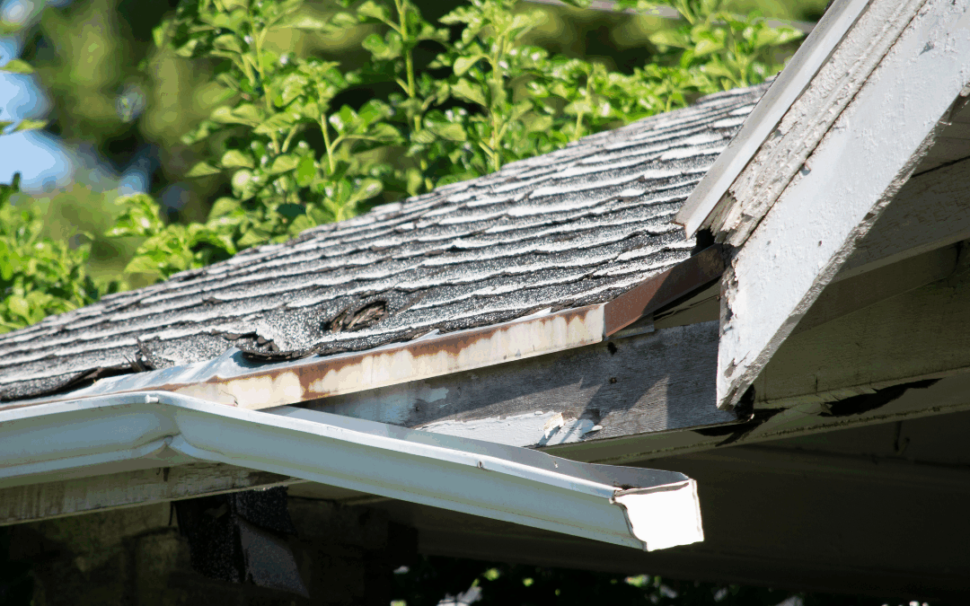 Fall Into Function: 5 Smart Projects to Prep Your Home for the Season